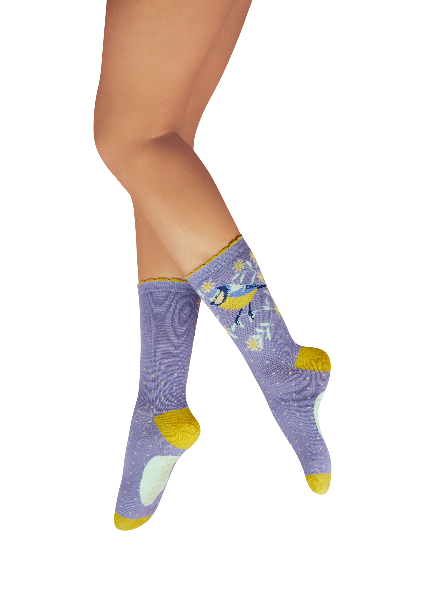 Ladies' Ankle Socks - Blooming Blue Tit - Robins & Roses, Eccleshall