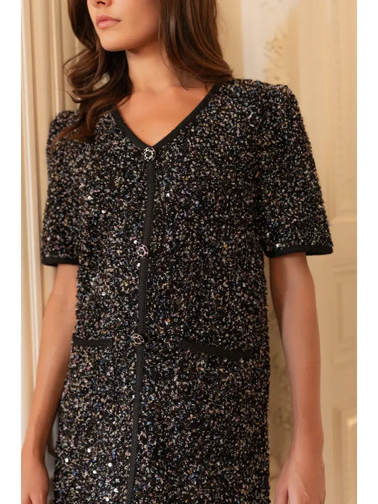 Laura V-Neck Sequin Dress