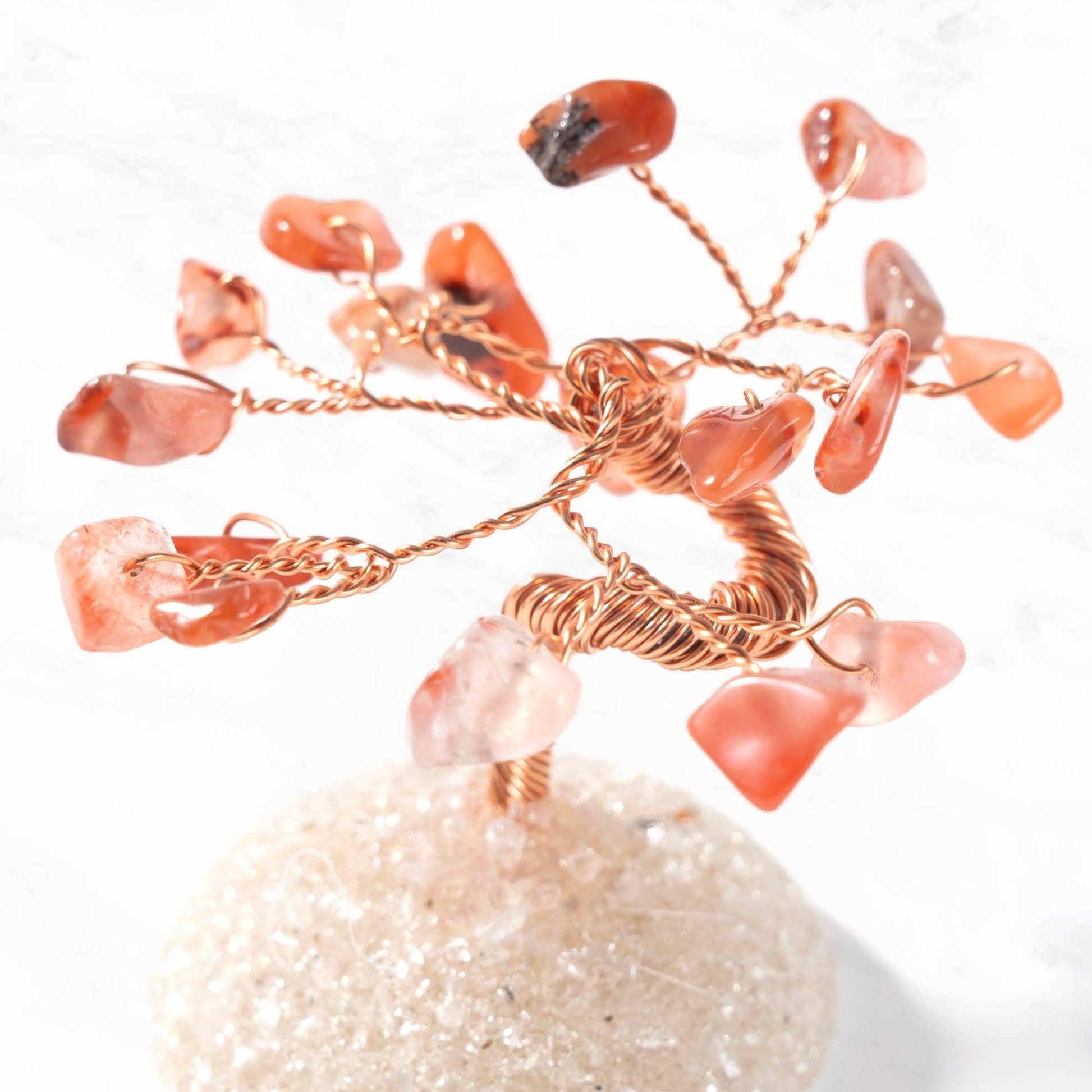 Gem Trees - Singles - Robins & Roses, Eccleshall