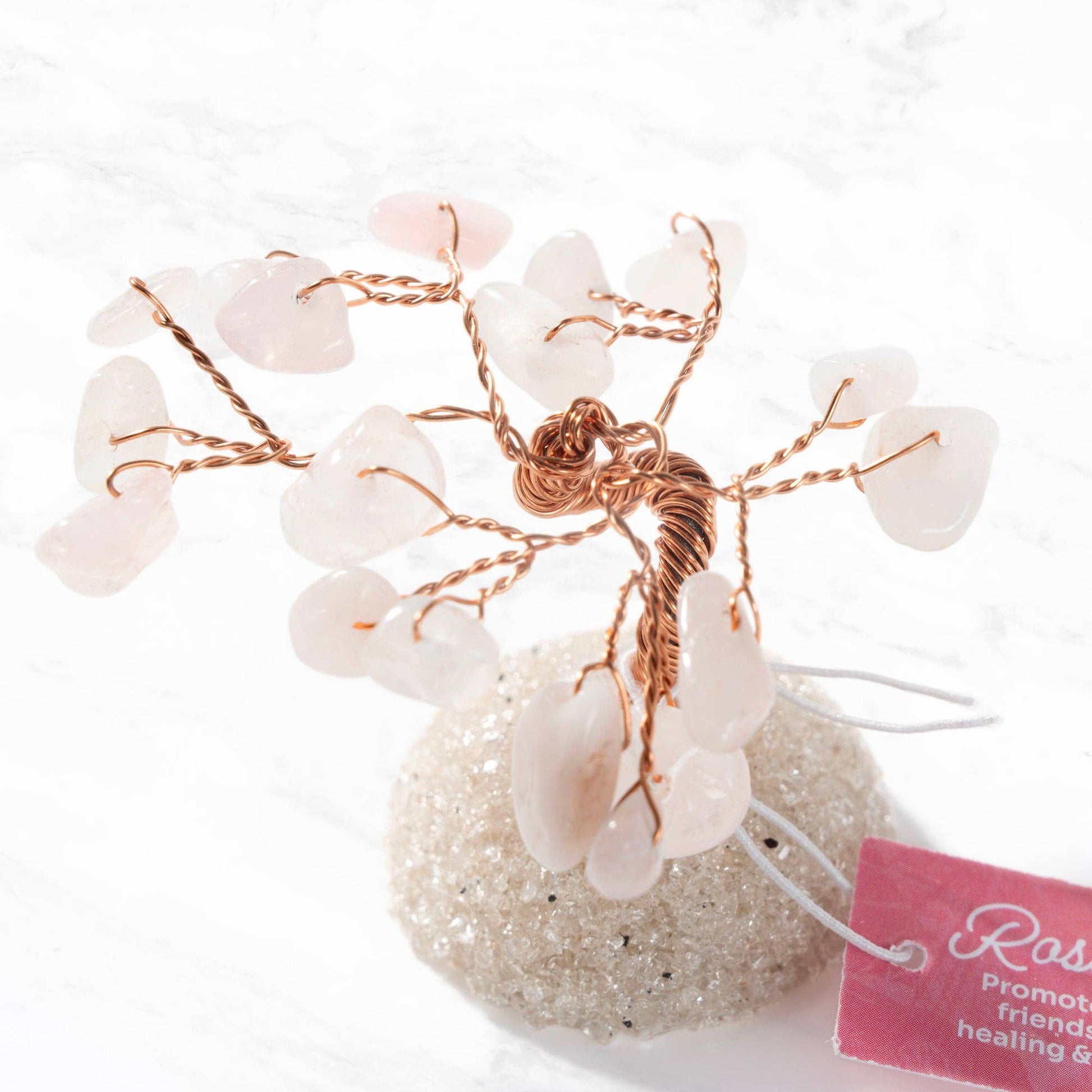 Gem Trees - Singles - Robins & Roses, Eccleshall