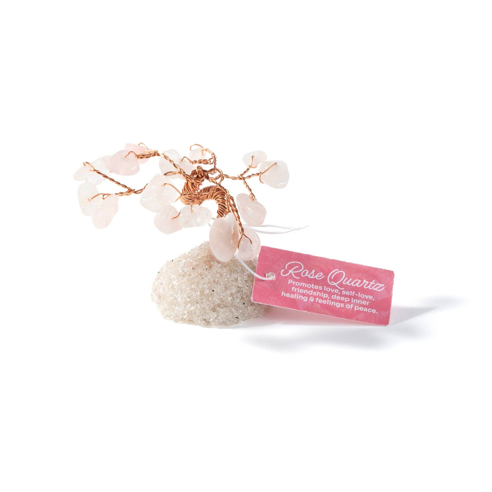 Gem Trees - Singles - Robins & Roses, Eccleshall